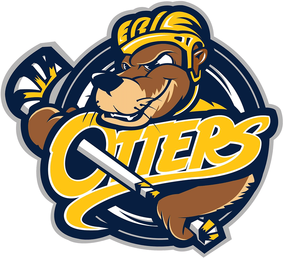 Erie Otters 2019-Pres Primary Logo iron on transfers for T-shirts